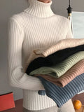 Monte Carlo Silvy Womax Rage Jolly Skiwi Pullover Sweater | Wool Blend Ribbed Turtle & Crew Neck (M-XL)
